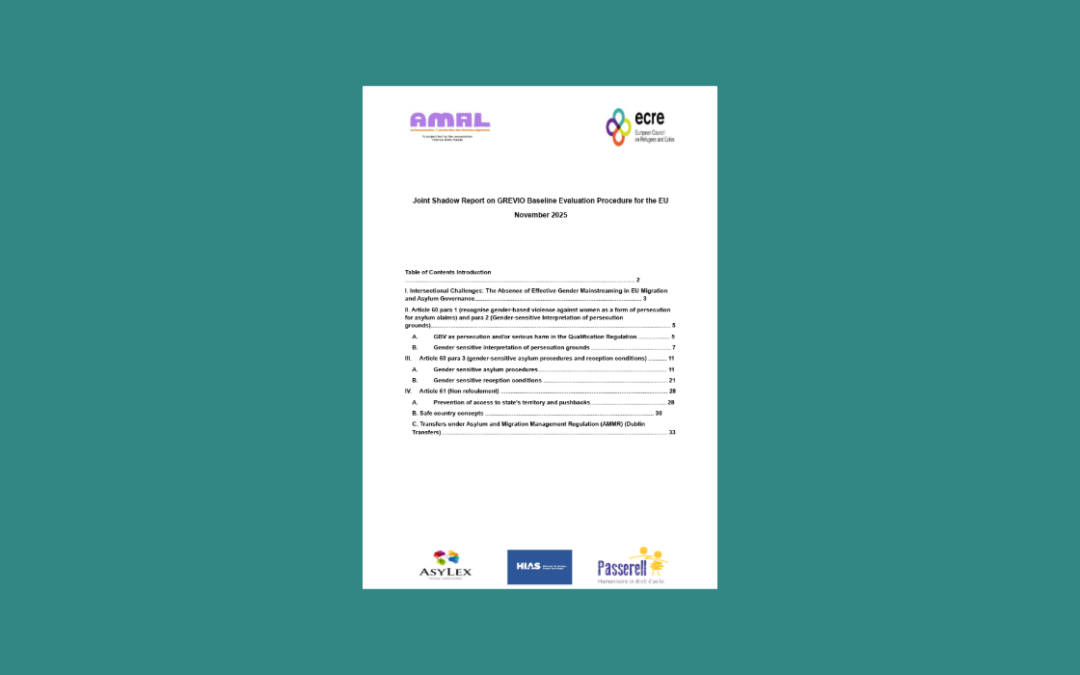 Joint Shadow Report for the GREVIO Baseline Evaluation of the EU